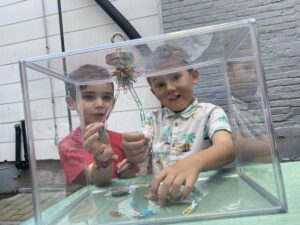 Science in Dohm Alley